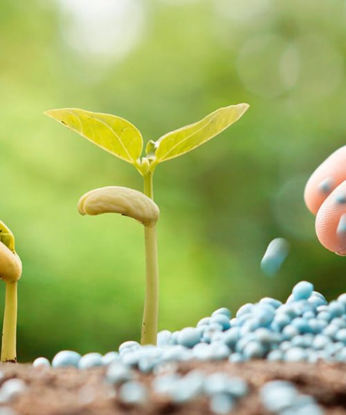 Analise-De-Fertizantes